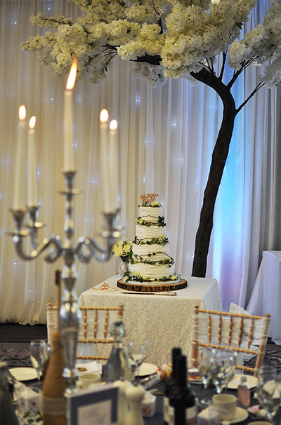 Cake table, over arched by one of our giant blossom canopy tree