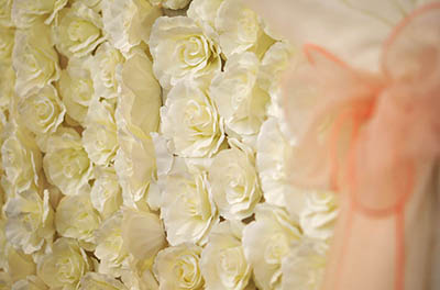 Close-up of our ivory rose flower wall